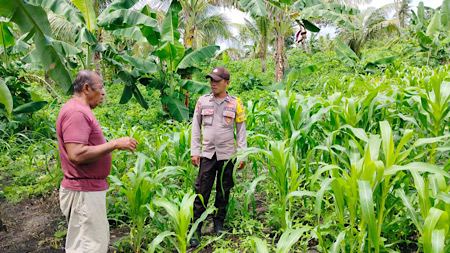 Aktif lakukan pendampingan, Bhabinkamtibmas Meyano Das sambangi Petani dukung Ketahanan Pangan