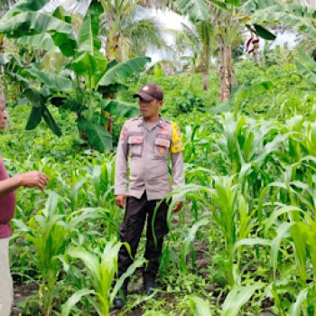 Aktif lakukan pendampingan, Bhabinkamtibmas Meyano Das sambangi Petani dukung Ketahanan Pangan