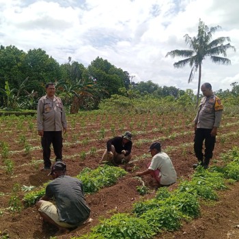 Bhabinkamtibmas Negeri Rumahtiga  Lakukan Sambang di Kampung Tangguh Nusantara "Sagu" Dusun Taeno Bawah