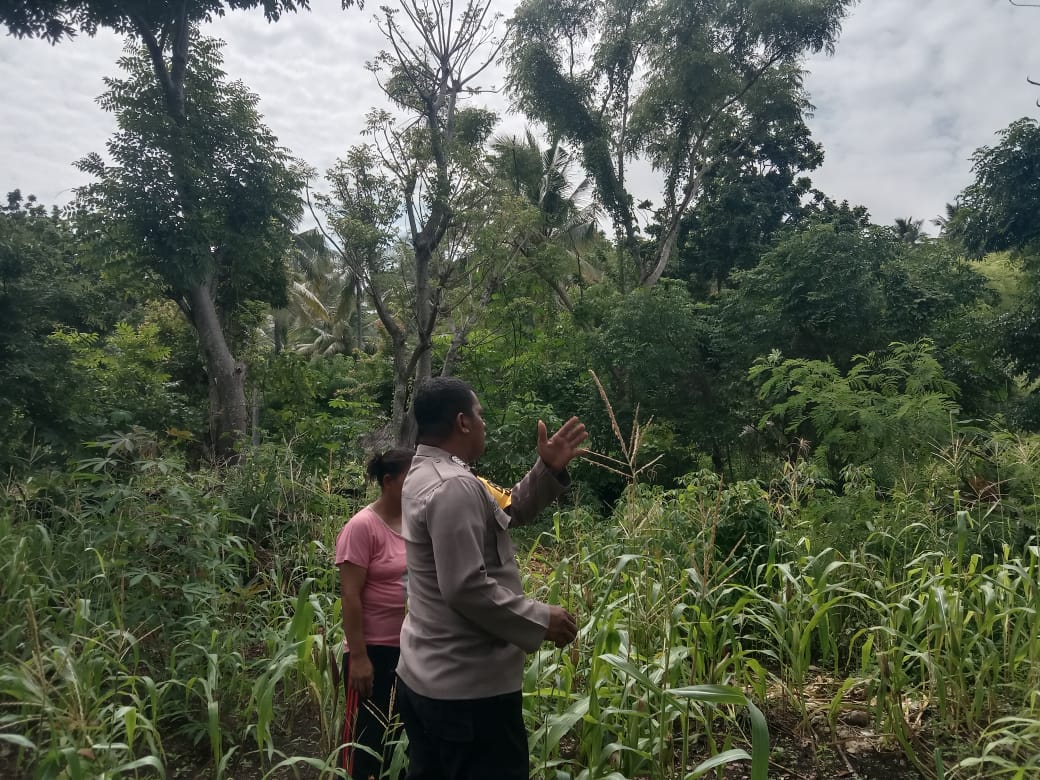 Bhabinkamtibmas Bripka Helwend Sosialisasikan Ketahanan Pangan Kepada Masyarakat