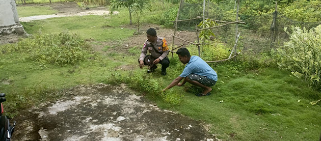 Bhabinkamtibmas Abat aktif ajak Warga dukung Ketahanan Pangan