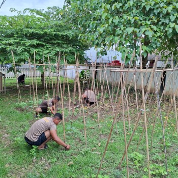 Manfaatkan Lahan Pekarangan, Polres SBT Laksanakan Pembersihan Lahan