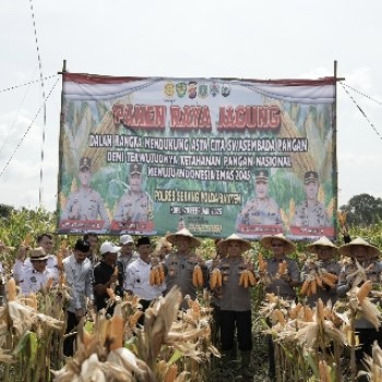 Panen Raya Jagung Hibrida, Kapolda Banten: Bentuk Nyata Upaya Bersama untuk Ketahanan Pangan