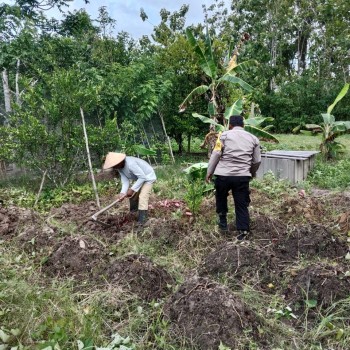 Dukung Ketahanan Pangan, Bhabinkamtibmas Waisamet Laksanakan Penanaman Bersama Warga Binaan