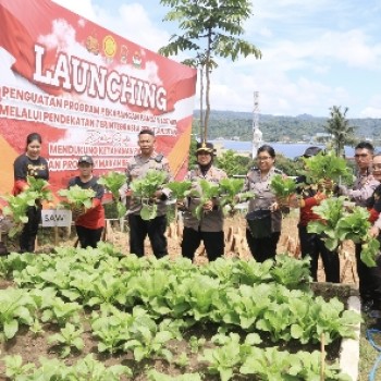 Polda Maluku Panen Sayur Perdana di Pekarangan Pangan Lestari Upua