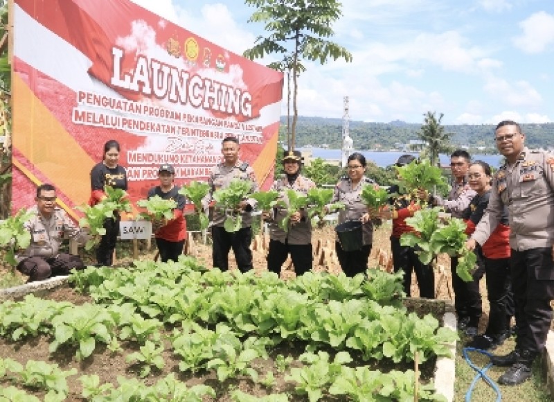 Polda Maluku Panen Sayur Perdana di Pekarangan Pangan Lestari Upua