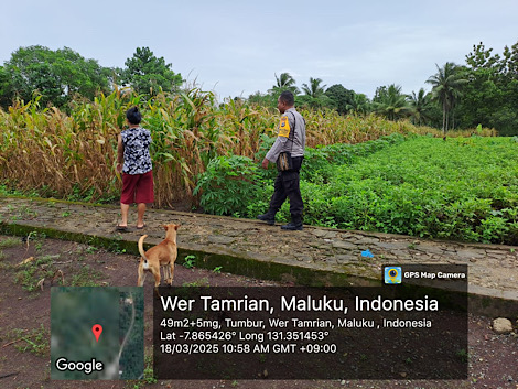 Sambangi Warga Petani, Bhabinkamtibmas Tumbur lakukan pendampingan dukung Ketahanan Pangan