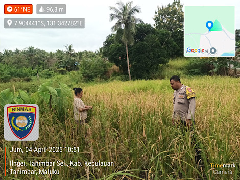 Dampingi Warga Petani saat panen padi, Bhabinkamtibmas Wowonda dukung Ketahanan Pangan