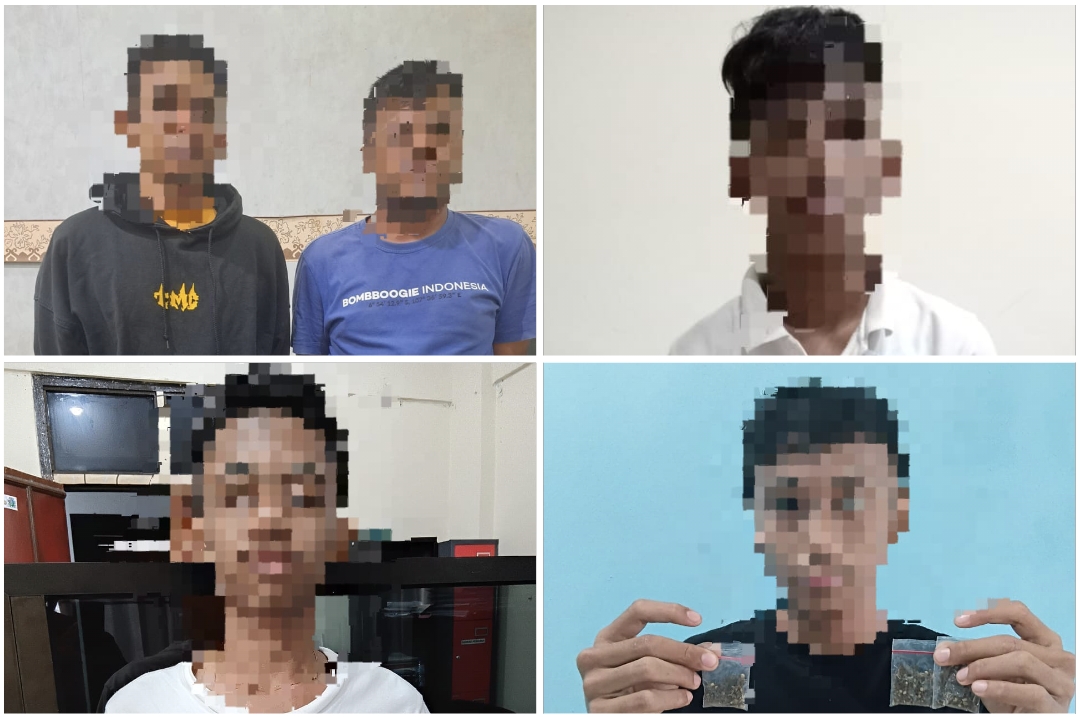 Ungkap Empat Kasus Peredaran Gelap Narkoba di Ambon, Polda Maluku Tangkap 5 Tersangka