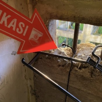 Tahanan Kasus Kekerasan Seksual Ditemukan Tewas Gantung Diri Dalam Rutan Polsek Namrole