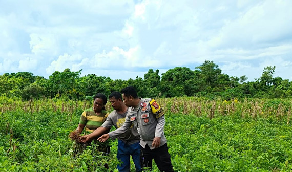 Kunjungi Poktan, Bhabinkamtibmas Latdalam lakukan pendampingan kepada para Petani
