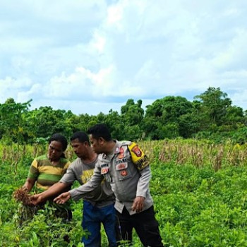 Kunjungi Poktan, Bhabinkamtibmas Latdalam lakukan pendampingan kepada para Petani