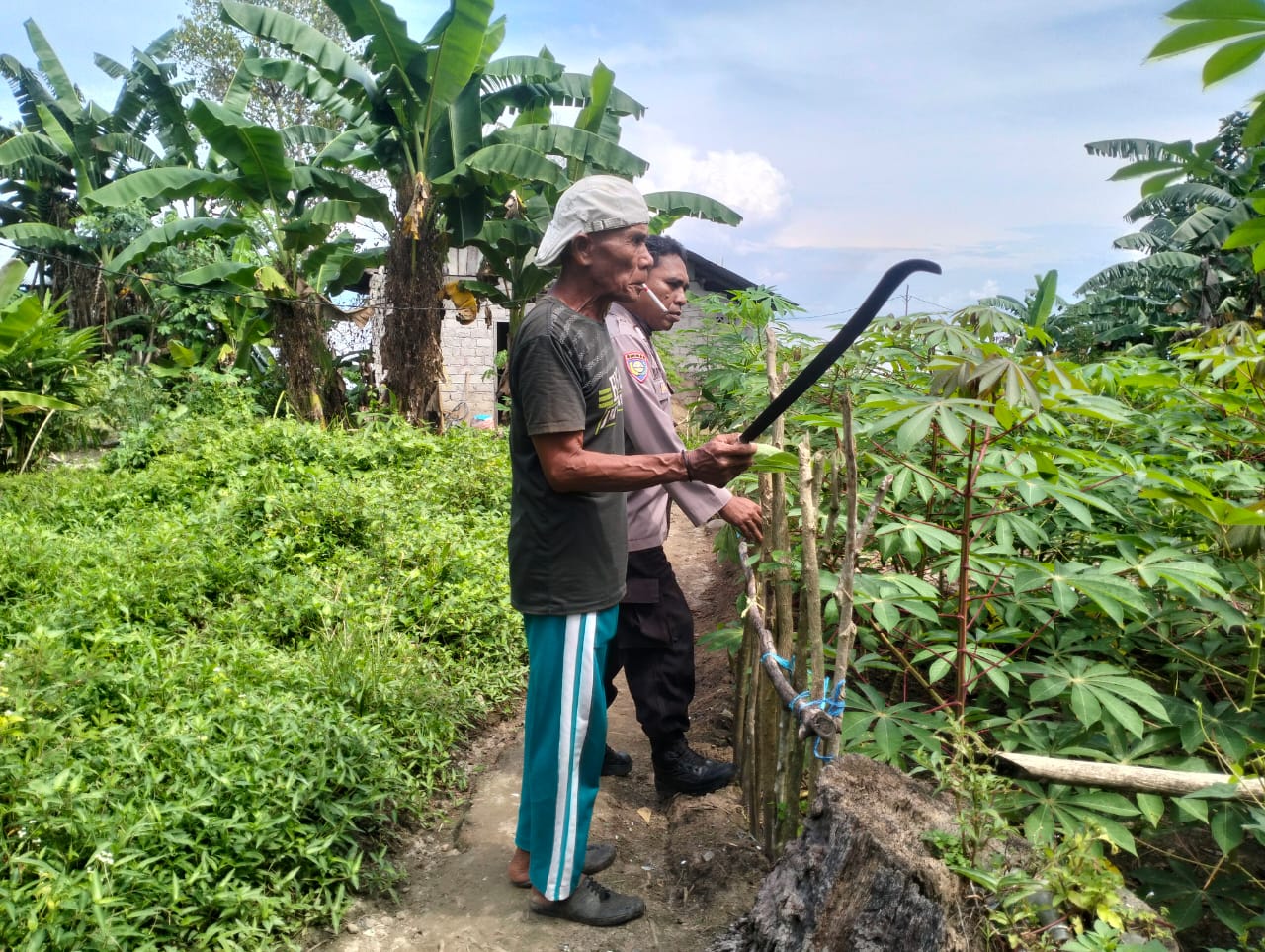 Bhabinkamtibmas Negeri Lima Sambangi kebun singkong milik warga binaan