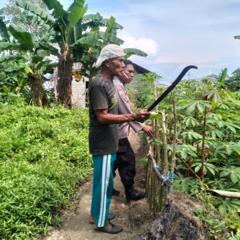Bhabinkamtibmas Negeri Lima Sambangi kebun singkong milik warga binaan
