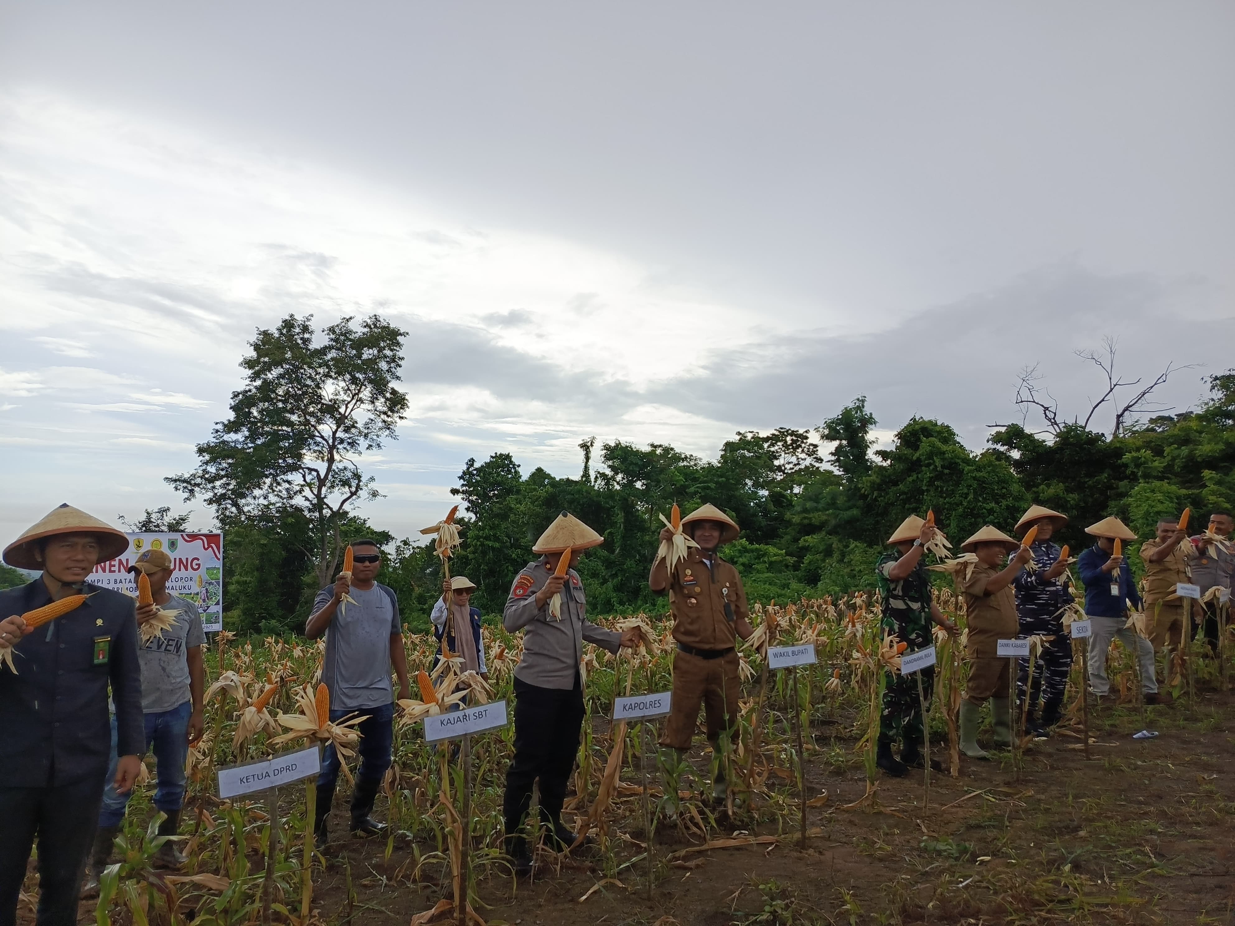 Dukung Ketahanan Pangan, Polres SBT Hadir di Tengah Panen Jagung Serentak