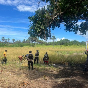 Rajut kebersamaan pasca konflik, TNI-Polri bersama Pemerintah hadiri Panen Raya di Desa Lingat