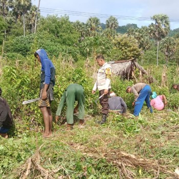 Bhabinkamtibmas Aipda Jennia Edukasi Masyarakat Terkait Ketahanan Pangan