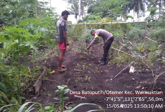 Lakukan pendampingan, Bhabinkamtibmas Batuputih sambangi Warga Petani