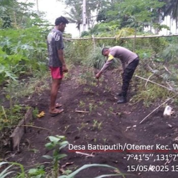 Lakukan pendampingan, Bhabinkamtibmas Batuputih sambangi Warga Petani
