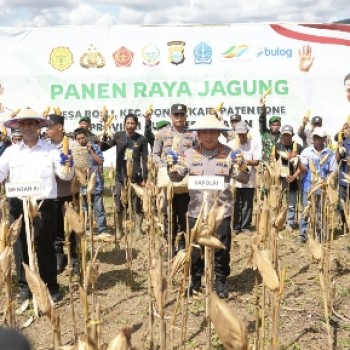 Kapolri-Mentan Panen Raya Jagung di Bone, Dukung Program Ketahanan Pangan Nasional