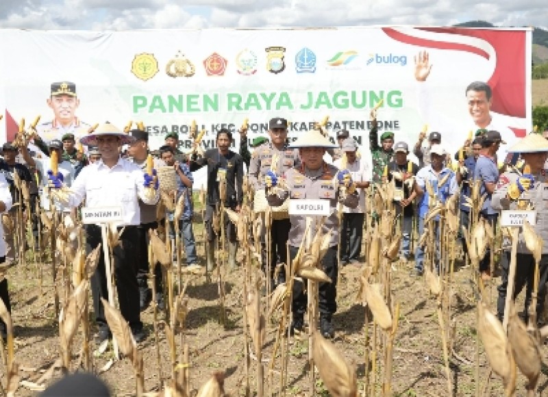 Kapolri-Mentan Panen Raya Jagung di Bone, Dukung Program Ketahanan Pangan Nasional