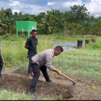 Polsek Babar Timur Kolaborasi Dengan Warga Tani Dukung Ketahanan Pangan