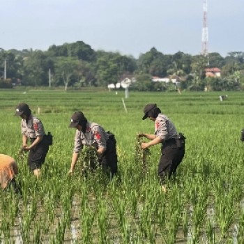 INOVASI PELATIHAN SISWA POLWAN 2025: Dari Pengabdian Desa hingga SPPG POLRI