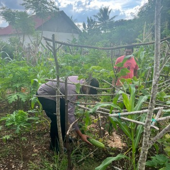 Bhabinkamtibmas Desa Batumiau Ingatkan Warga Dukung Program Ketahanan Pangan di Pulau Letti