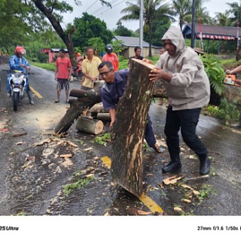 Respon cepat, Polres Kepulauan Tanimbar bersama Warga bersihkan pohon tumbang akibat cuaca ekstrim