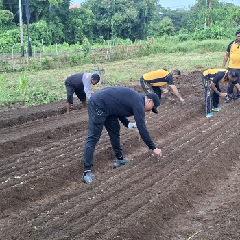 Kapolres Maluku Barat Daya Pimpin Penanaman Bibit Sayuran Dukung Ketahanan Pangan