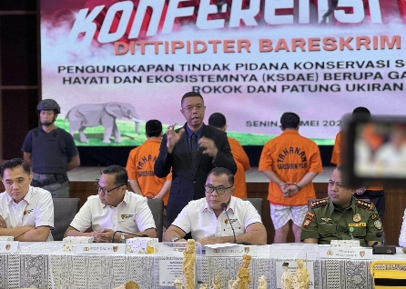 Dittipidter Bareskrim Polri Ungkap Perdagangan Ilegal Gading Gajah di Sukabumi dan Jakarta