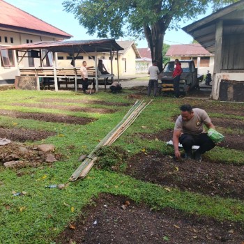 Kapolsek Tepa Bersama Anggota Implementasikan Program Ketahanan Pangan di Wilayah Hukum Polsek Tepa