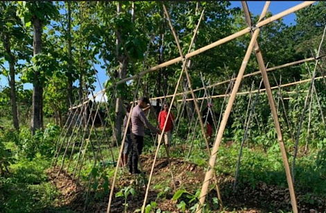 Sambangi Petani, Bhabinkamtibmas Kainara lakukan pendampingan