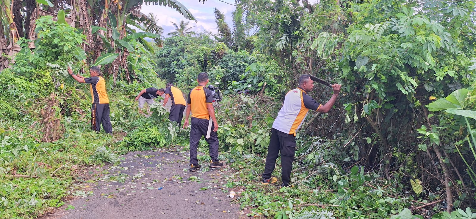 Kapolsek Leihitu Pimpin Pembersihan Lahan Perkebunan Jelang Panen Jagung di Dusun Telaga Kodok