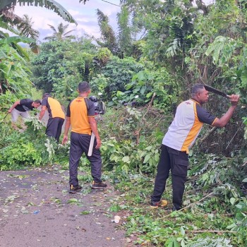 Kapolsek Leihitu Pimpin Pembersihan Lahan Perkebunan Jelang Panen Jagung di Dusun Telaga Kodok