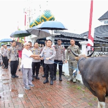 Jelang Idul Adha 1446 H, Kapolda Maluku Salurkan Bantuan Hewan Qurban Kepada Masyarakat