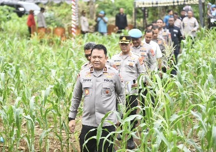 Jelang Panen Raya Kapolda Maluku Tinjau Perkebunan Jagung di Talaga Kodok