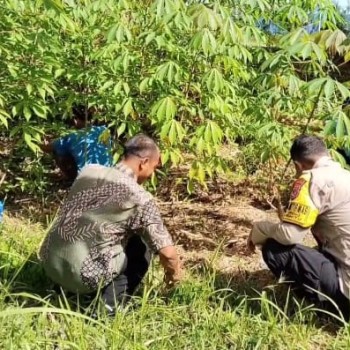 Bhabinkamtibmas Ajak Siswa SMP 37 Maluku Tengah Manfaatkan Lahan Sekolah untuk berkebun