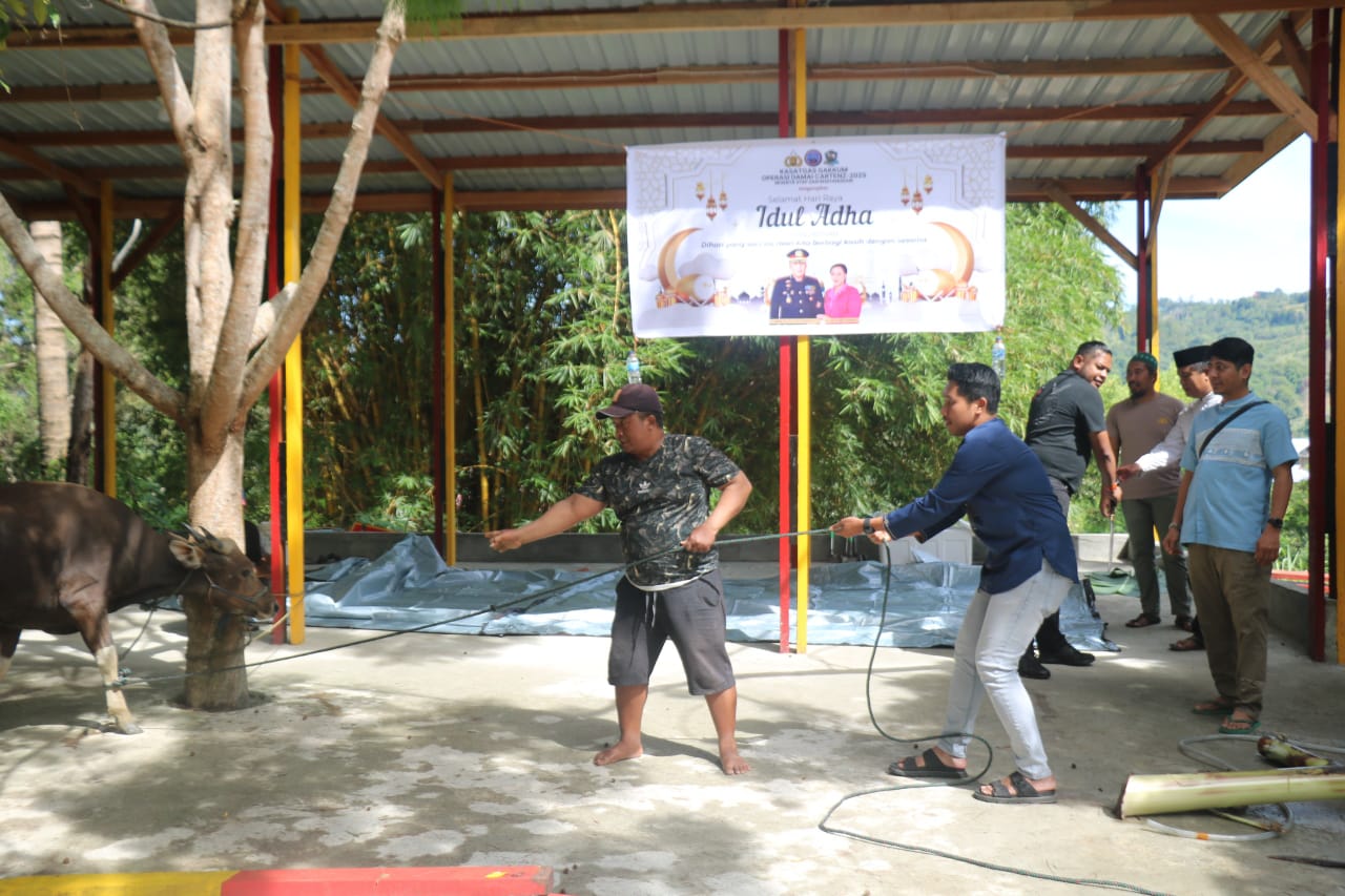 Satgas Gakkum ODC-2025 sembelih 2 ekor sapi di Posko Jayapura dalam rangka Idul Adha 1446 H