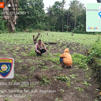 Aktif kunjungi Warga Petani, Bhabinkamtibmas Wowonda dukung Ketahanan Pangan
