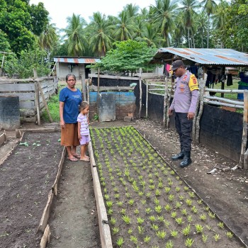 Bhabinkamtibmas Bripka Lestaluhu Ajak Warga Tingkatkan Mutu Tanaman, Dukung Program Asta Cita