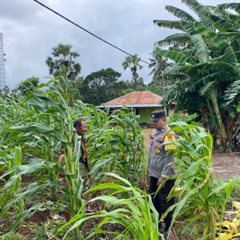 Bhabinkamtibmas Desa Oirata Timur Memotivasi Warga Dukung Program Ketahanan Pangan