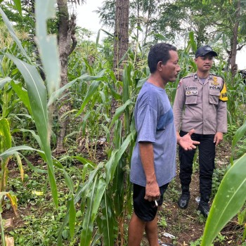 Bhabinkamtibmas Briptu Tjokro Arahkan Warga Dukung Program Ketahanan Pangan