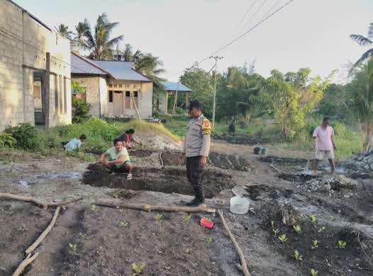 Bhabinkamtibmas Bripka H. Relmasira Bersama Warga Kembangkan Usaha Perkebunan.