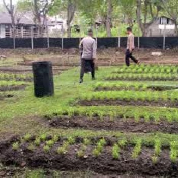 Personil Polsek Tepa Gelar Pemberdayaan Kualitas Tanaman, Sukseskan Program Ketahanan Pangan