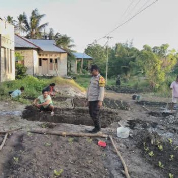 Bhabinkamtibmas Bripka H. Relmasira Bersama Warga Kembangkan Usaha Perkebunan.