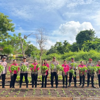 Polsek Wetar Panen Hasil Kebun, Optimis Sukseskan Program Ketahanan Pangan