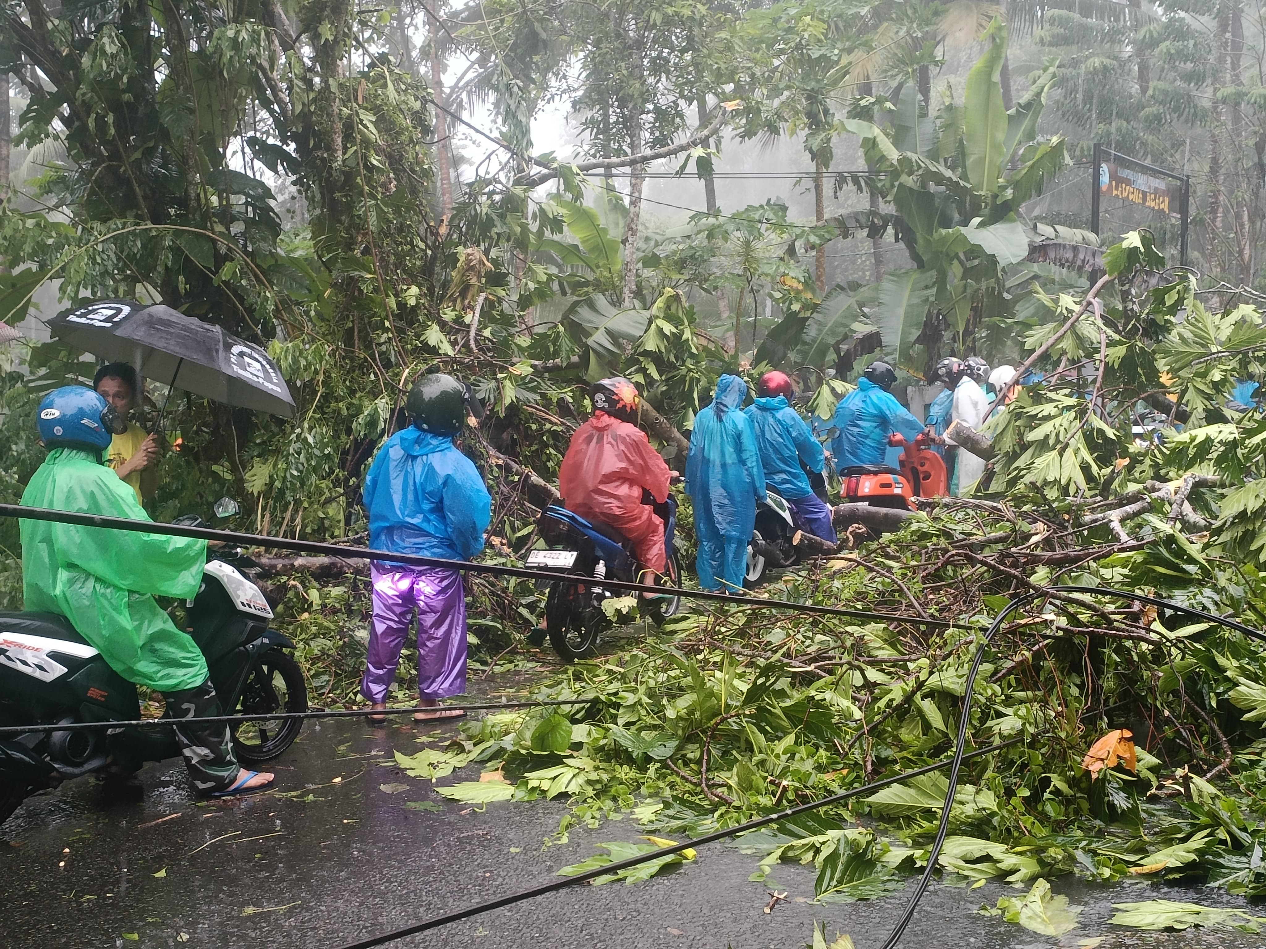 Personel Polsek Leitimur Selatan Sigap Evakuasi Pohon Tumbang Akibat Cuaca Ekstrem di Hutumuri