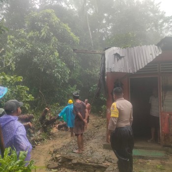 Bhabinkamtibmas Negeri Hatalai Sigap Bantu Evakuasi Pohon Tumbang yang Timpa Rumah Warga