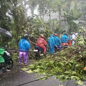 Personel Polsek Leitimur Selatan Sigap Evakuasi Pohon Tumbang Akibat Cuaca Ekstrem di Hutumuri